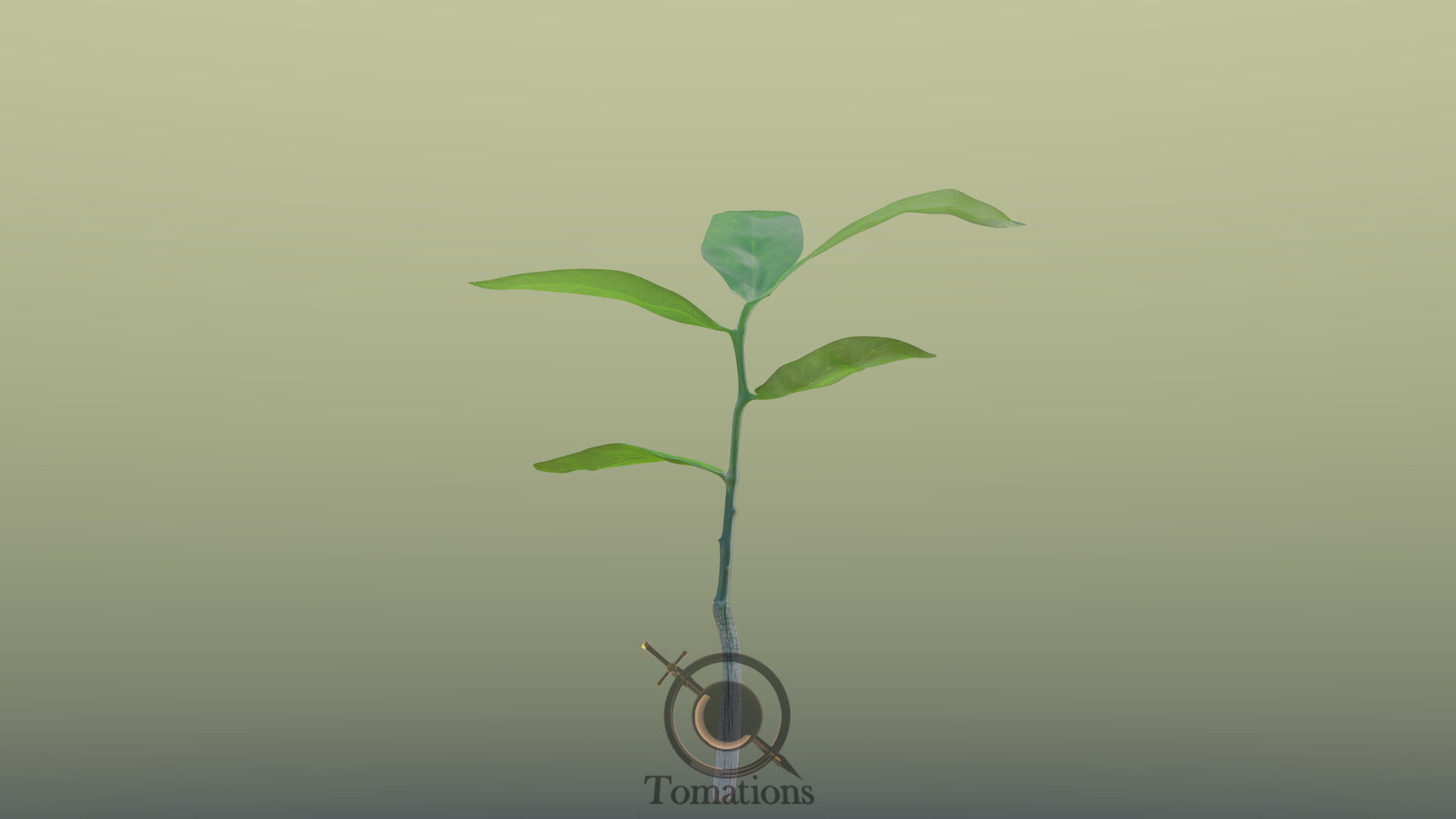 Sprout plant in pot 3D model_23