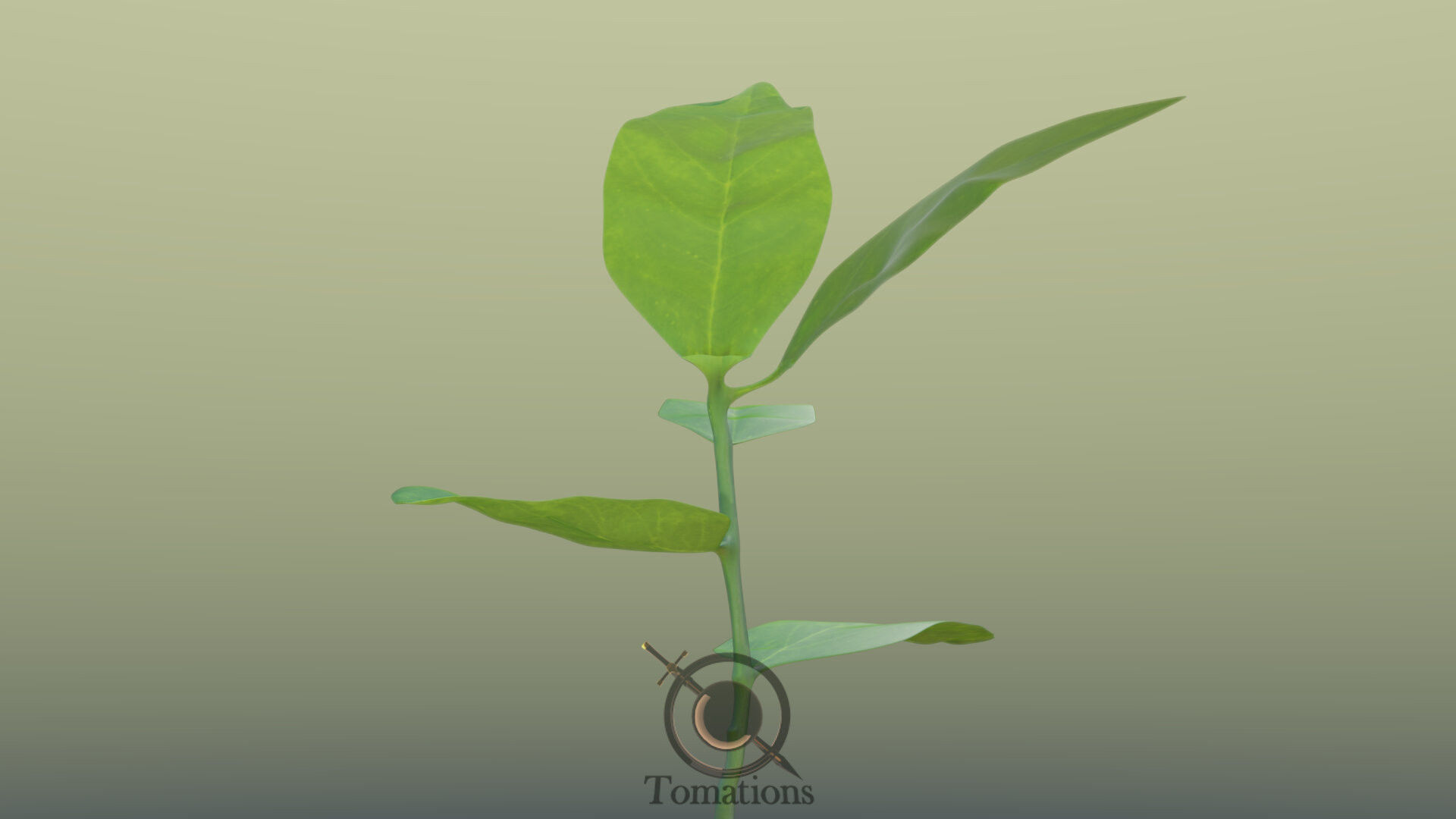 Sprout plant in pot 3D model_39
