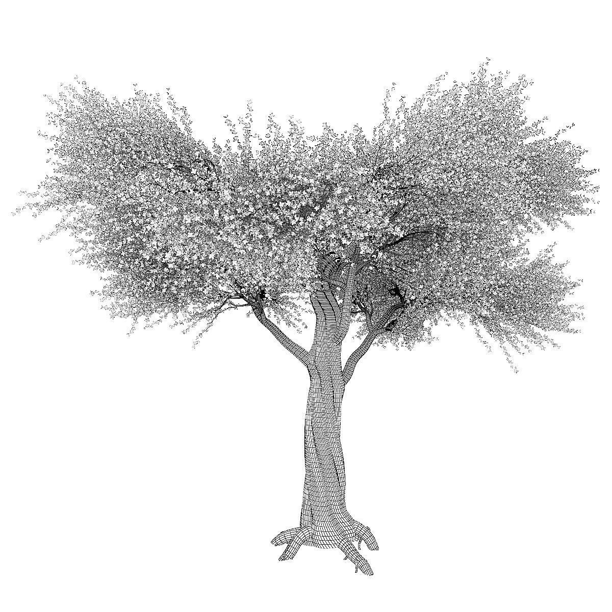 Sakura 02 3D model_4