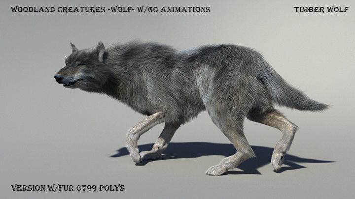 Wolf with hair and fur modifier 3D model_2