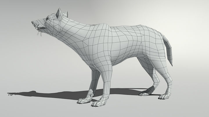 Wolf with hair and fur modifier 3D model_27