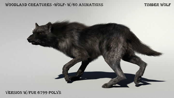 Wolf with hair and fur modifier 3D model_1