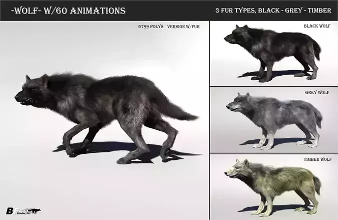 Wolf with hair and fur modifier 3D model