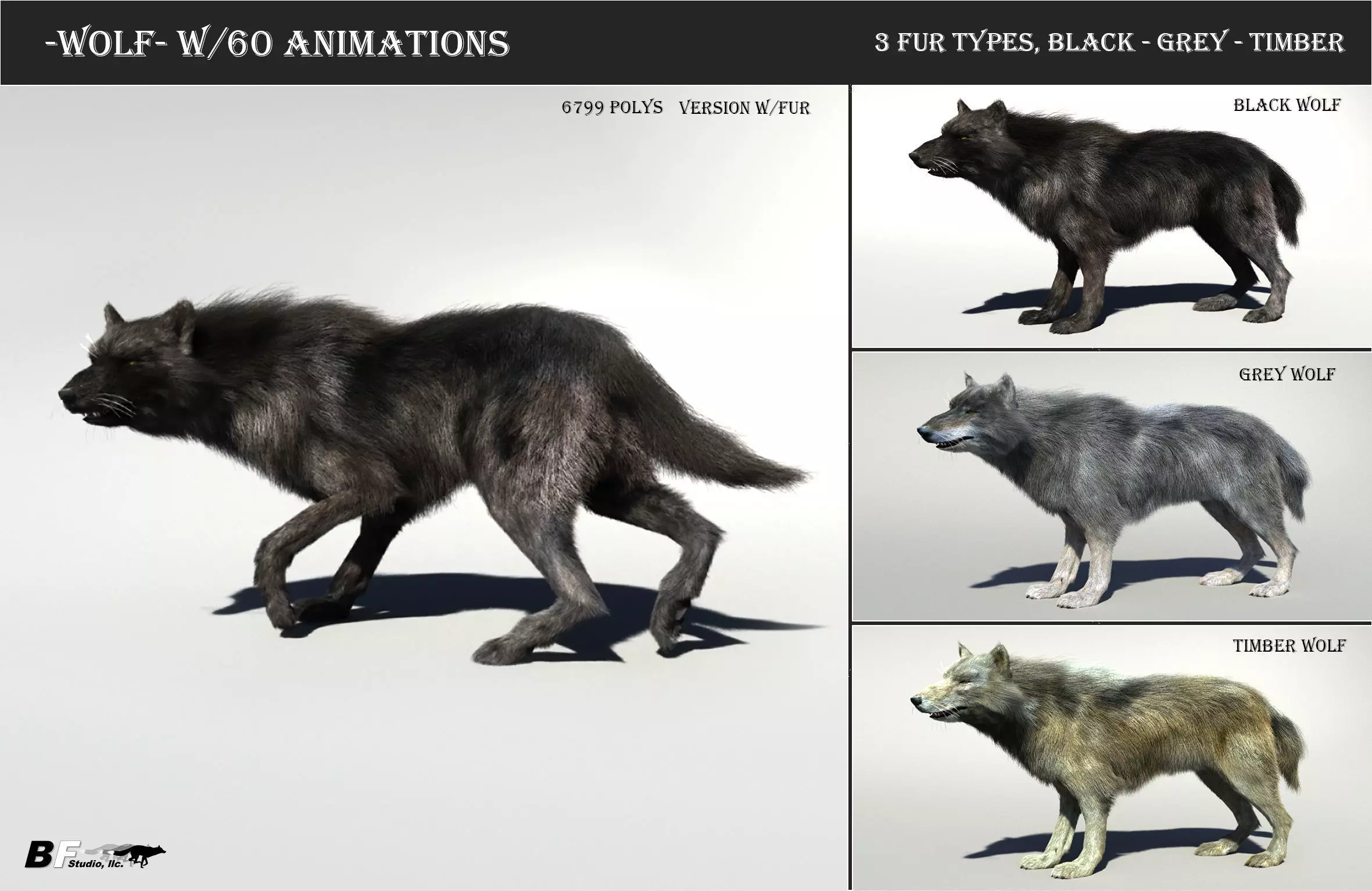 Wolf with hair and fur modifier 3D model_0