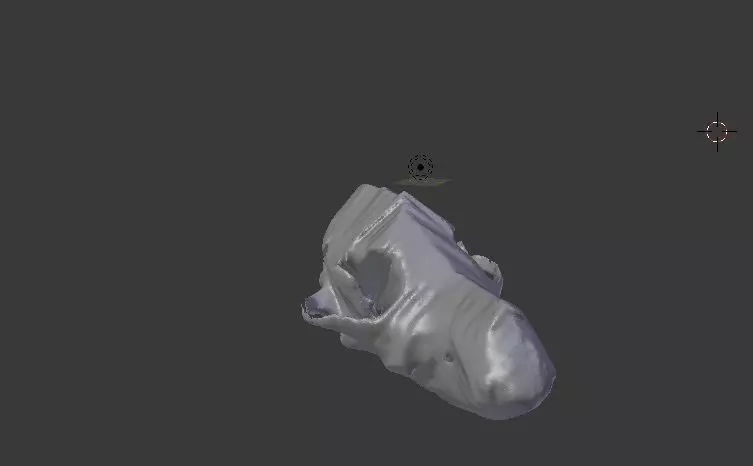 Anatomy Taxidermy of canine  3D print model_0