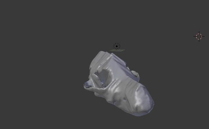 Anatomy Taxidermy of canine  3D print model
