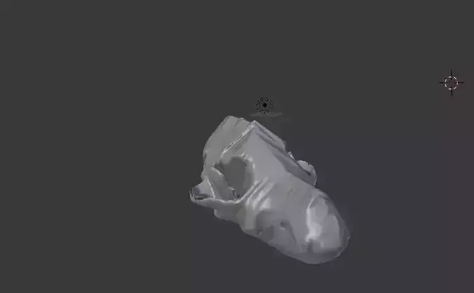 Anatomy Taxidermy of canine  3D print model