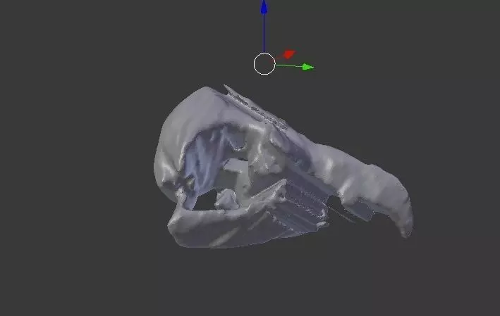 Eagle skull Free 3D print model