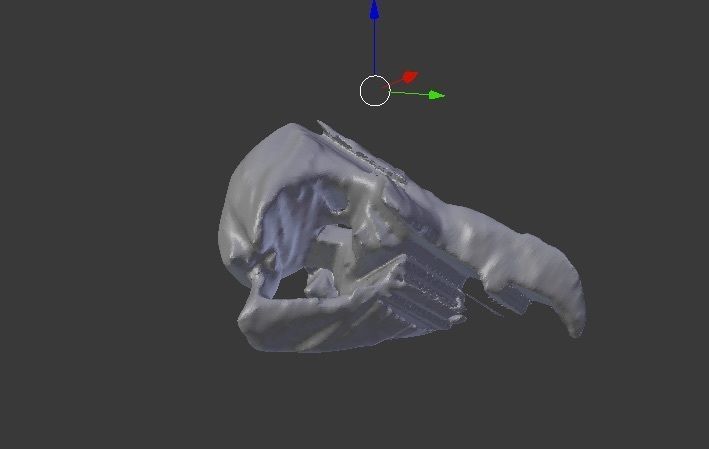 Eagle skull  Free 3D print model