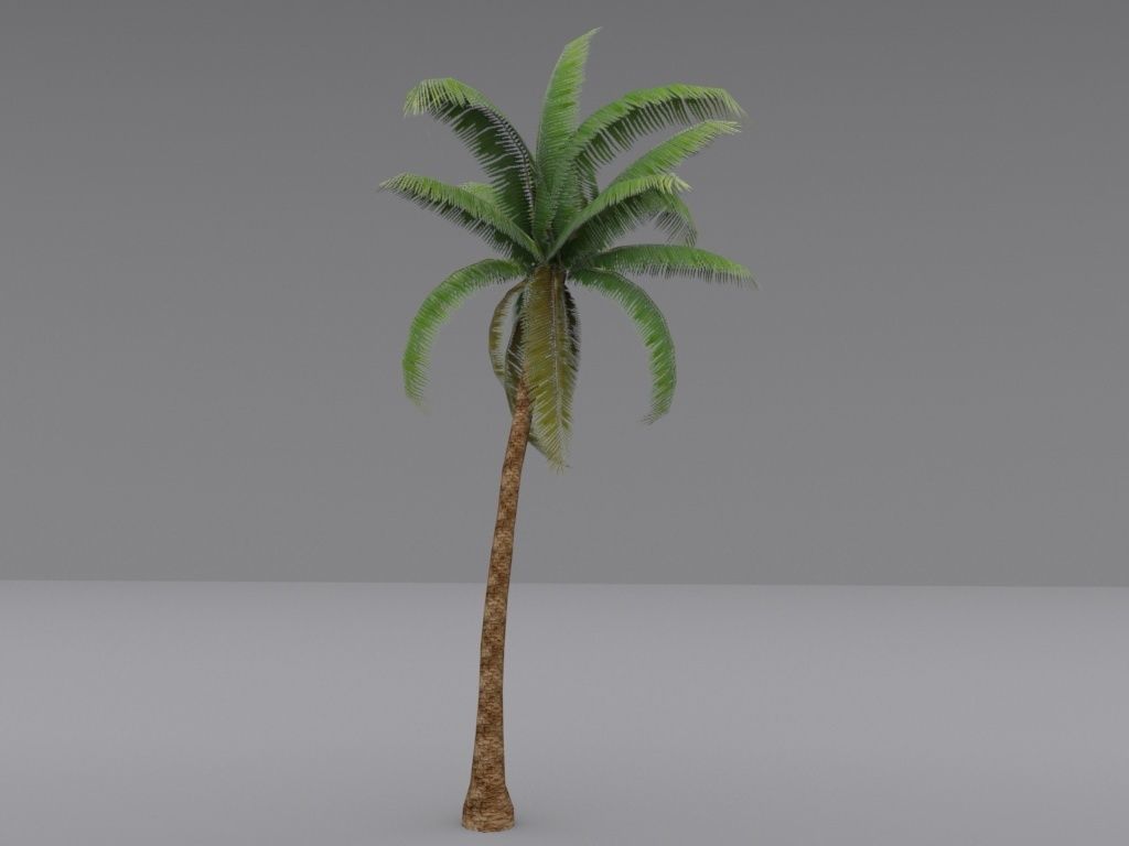 Palm Tree  Low-poly 3D model_2