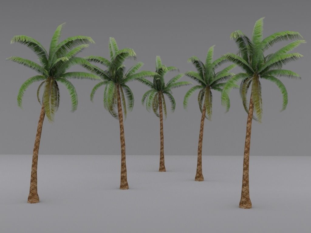 Palm Tree  Low-poly 3D model_1