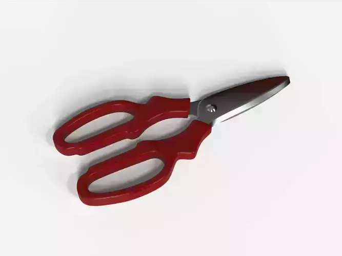 Scissors pair of