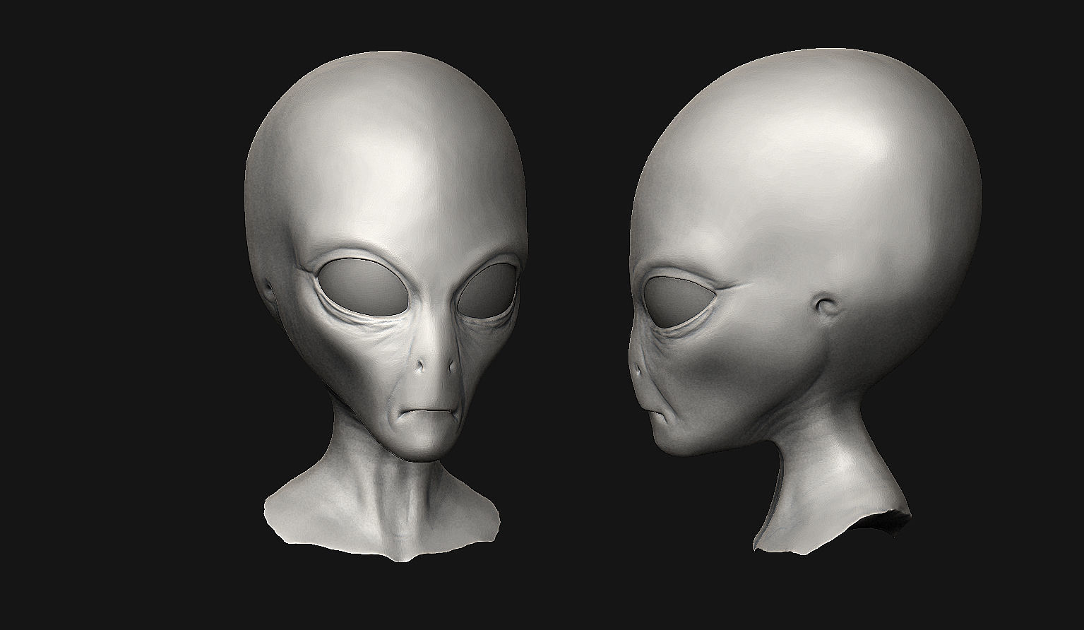 12 Aliens Heads 3D model_8