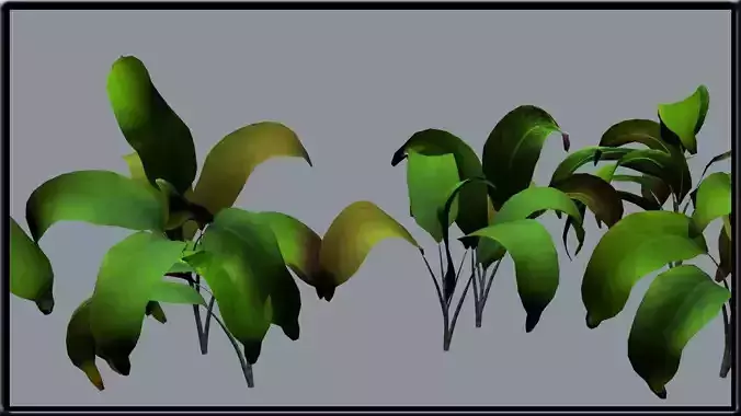 Plant three different plants 3D model