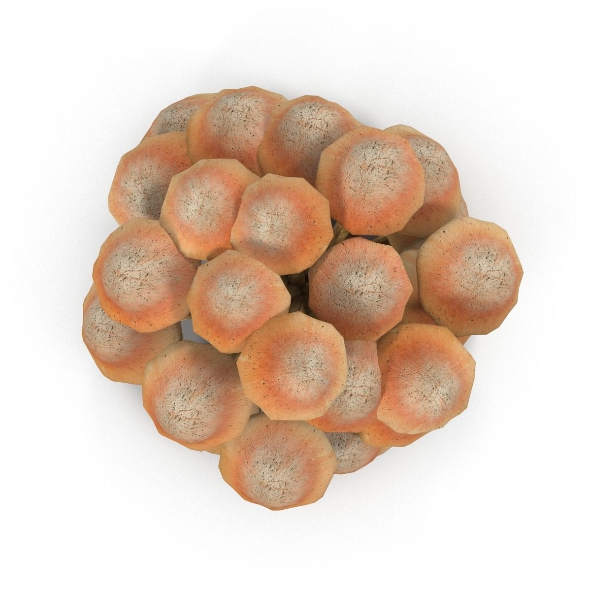 Mushrooms Low-poly 3D model_1