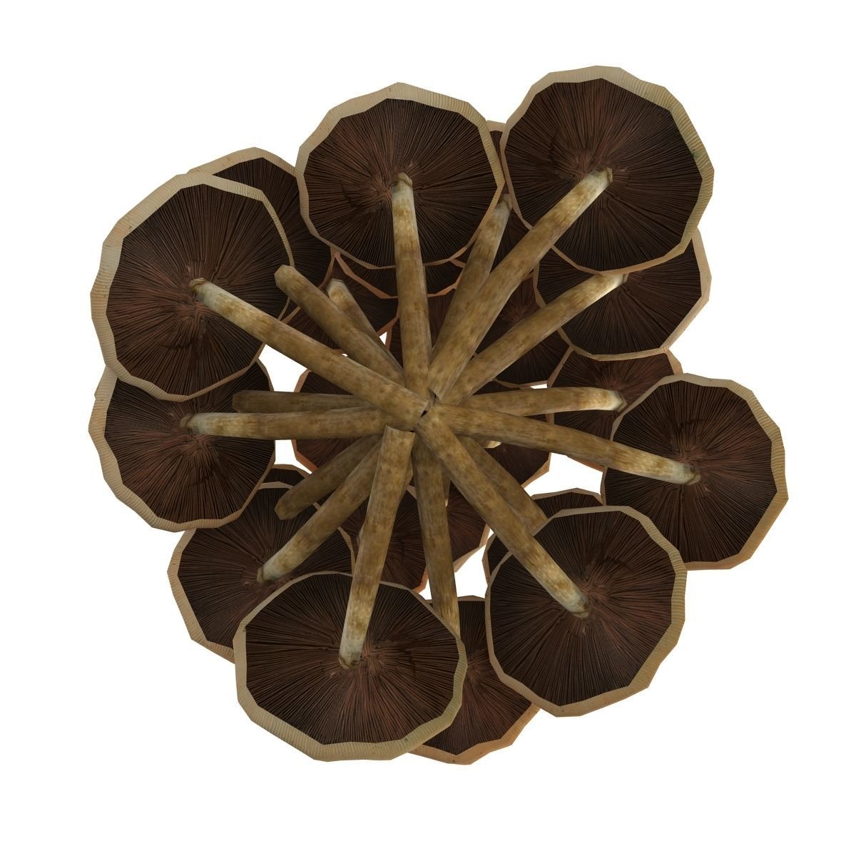 Mushrooms Low-poly 3D model_8