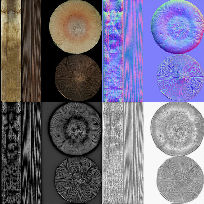 Mushrooms Low-poly 3D model_9