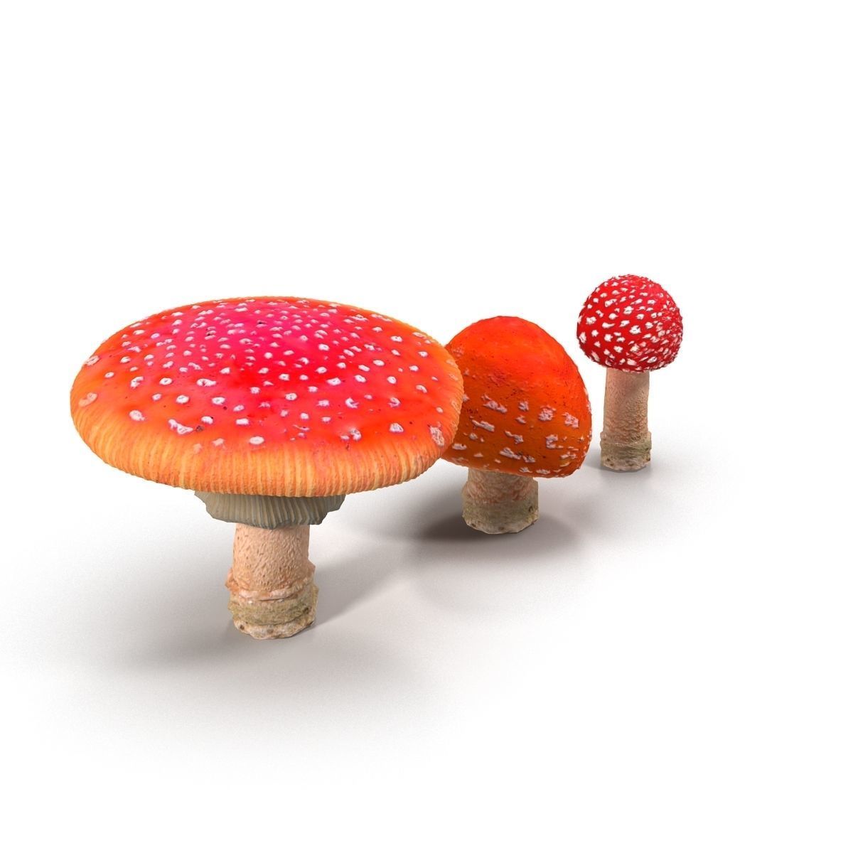 Amanita group of mushrooms Low-poly 3D model_1