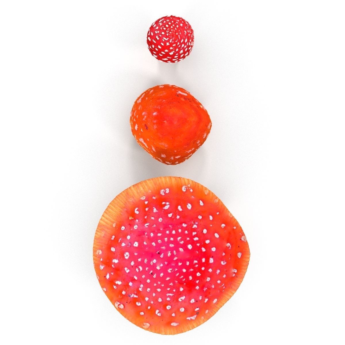 Amanita group of mushrooms Low-poly 3D model_2