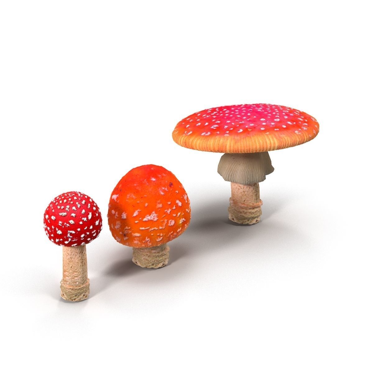 Amanita group of mushrooms Low-poly 3D model_5