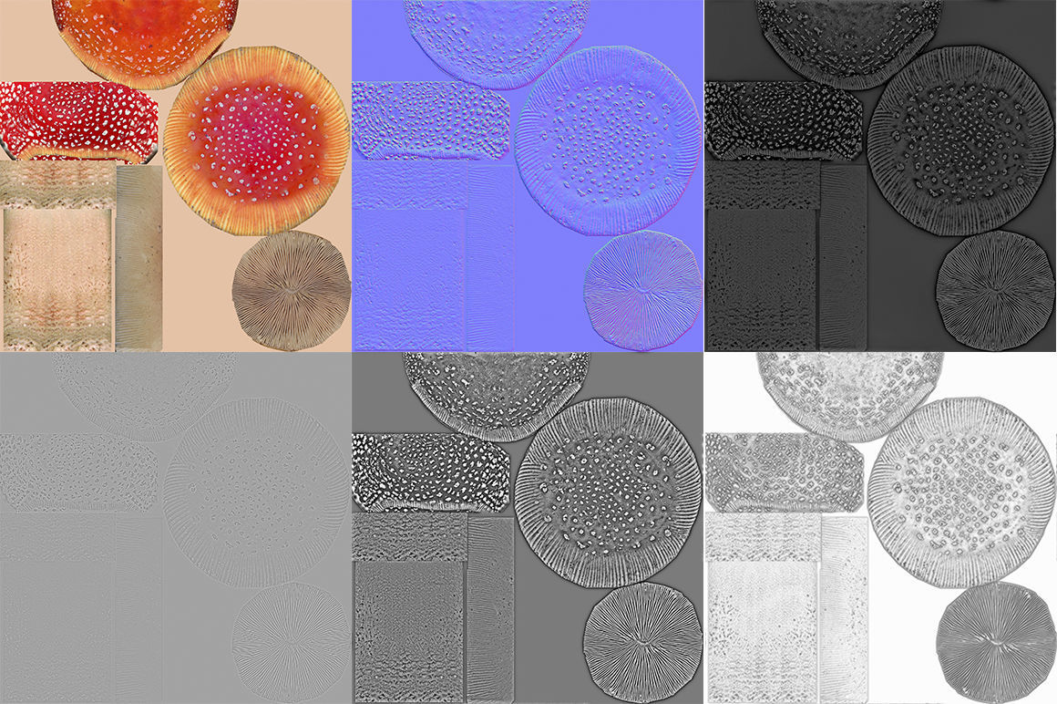 Amanita group of mushrooms Low-poly 3D model_9