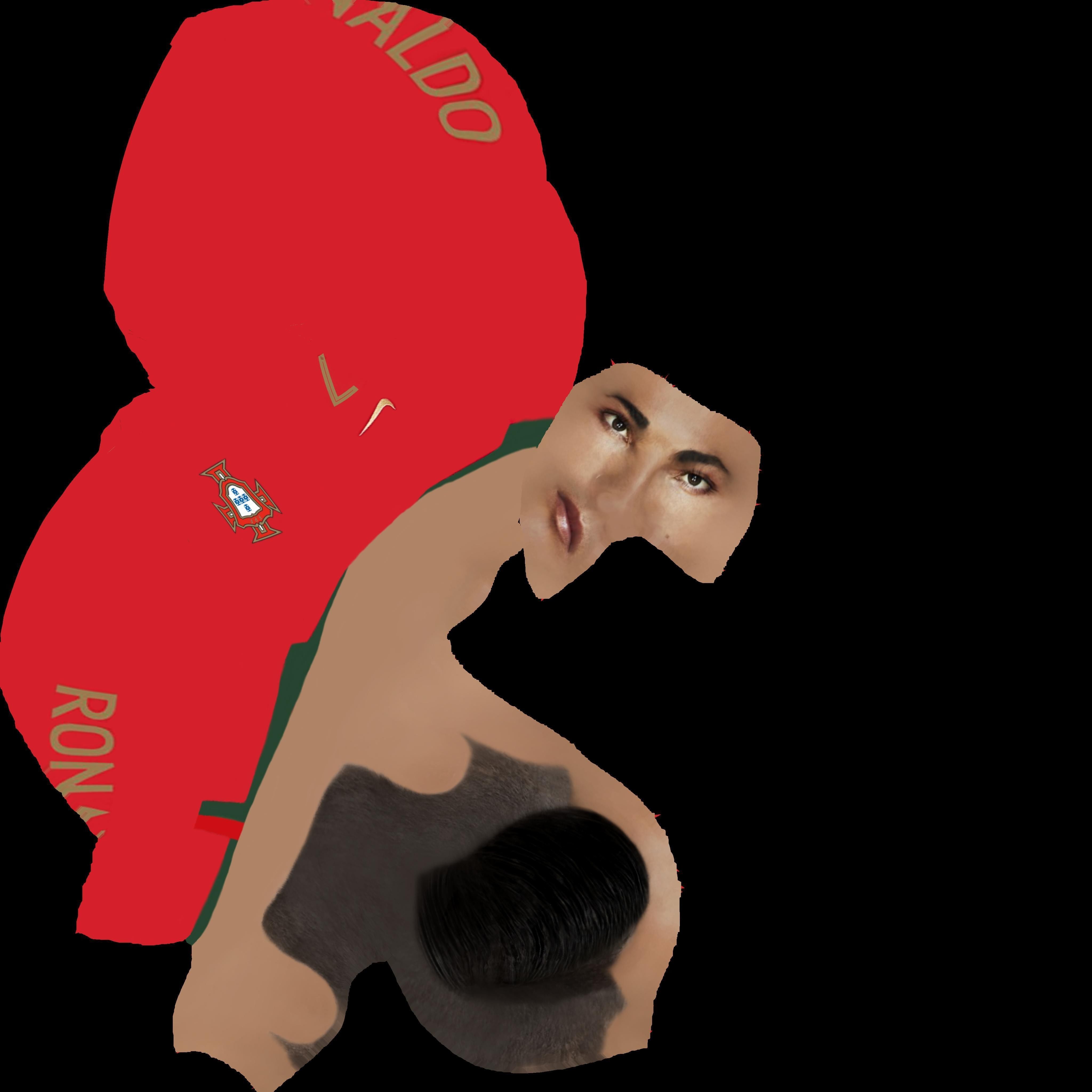 Cristiano Ronaldo bust ready for full color 3D printing 3D print model_57