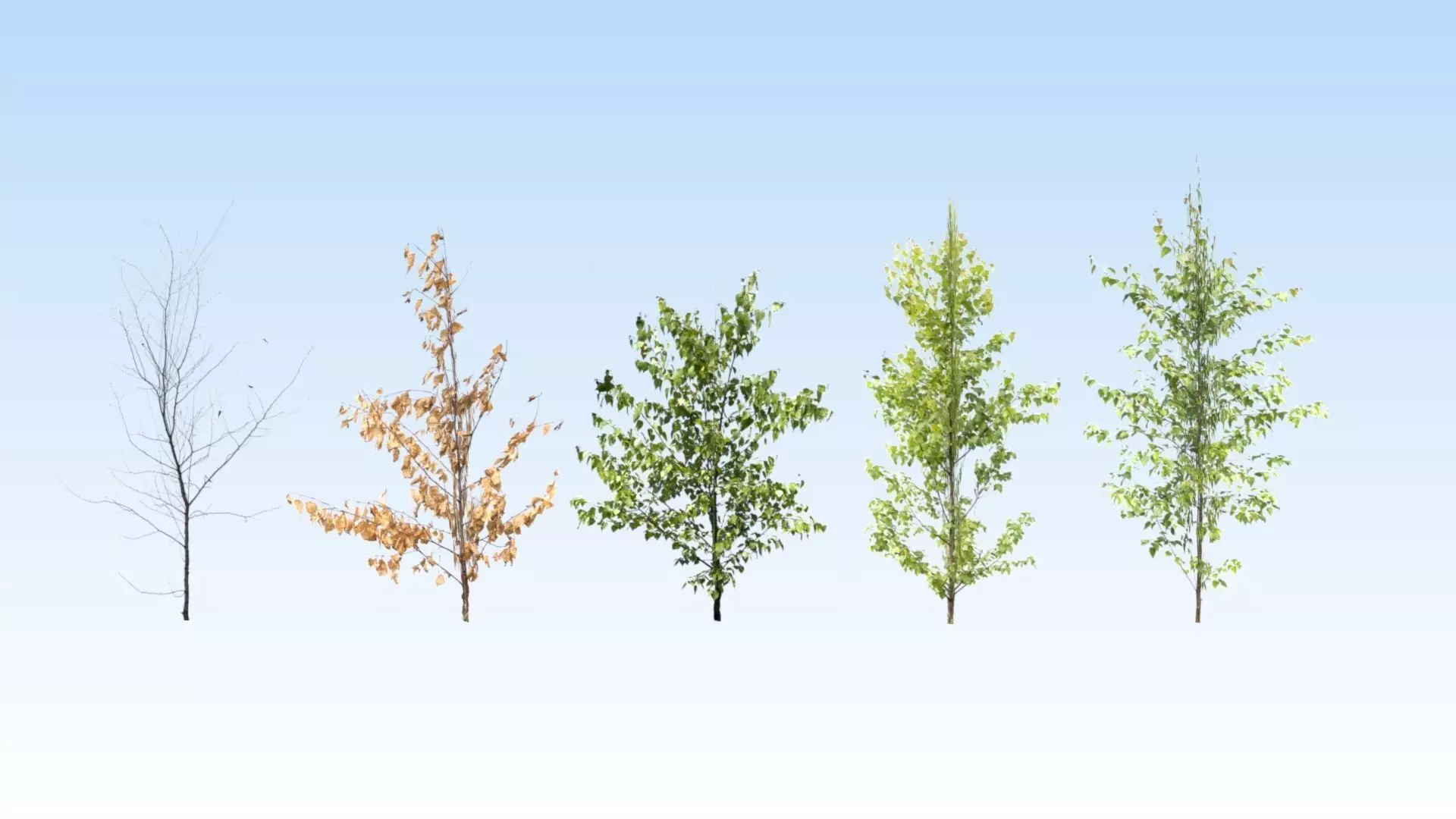 Extra lowpoly trees set Free low-poly 3D model_0
