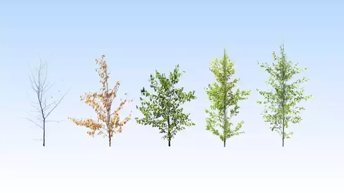 Extra lowpoly trees set Free low-poly 3D model Extra lowpoly trees set Free low-poly 3D model