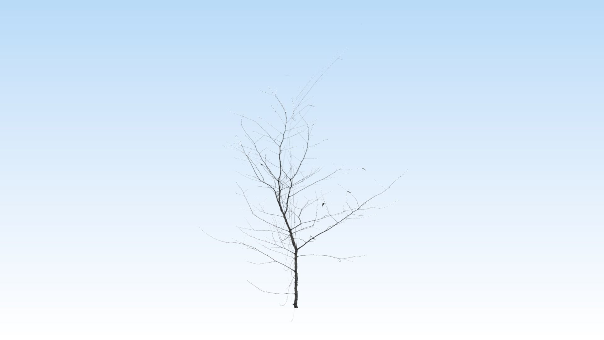 Extra lowpoly trees set Free low-poly 3D model_2