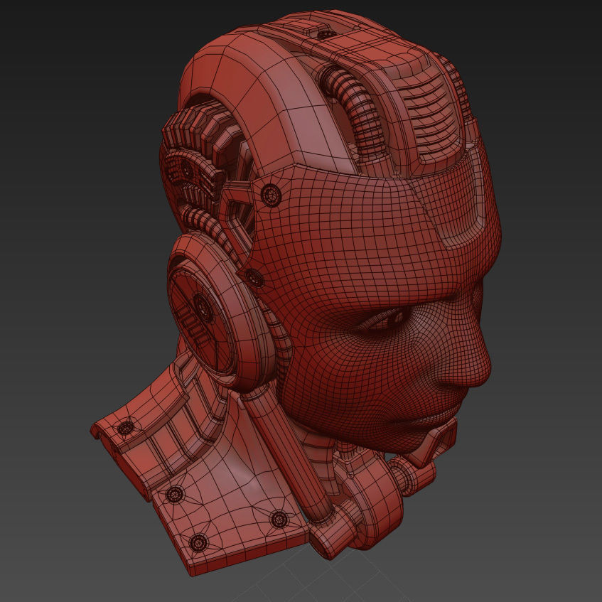 Head cyborg 3d model 3D model_10