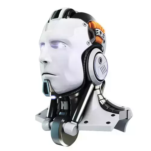 Head cyborg 3d model 3D model