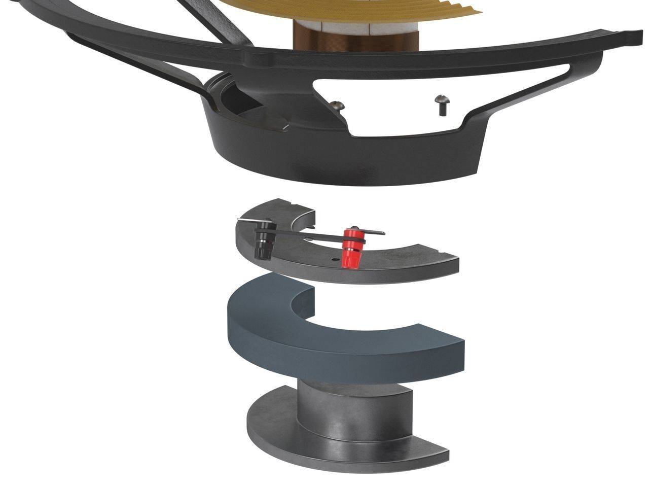 Speaker Cross Section 3D model_12