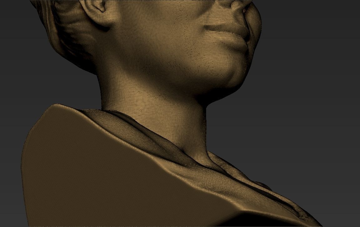 Adele bust 3D printing ready stl obj formats 3D print model_16