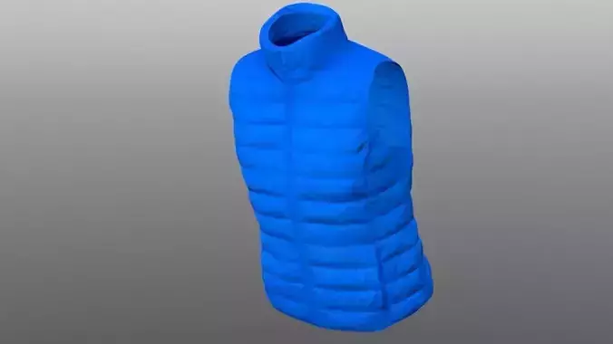 Vest 3D model