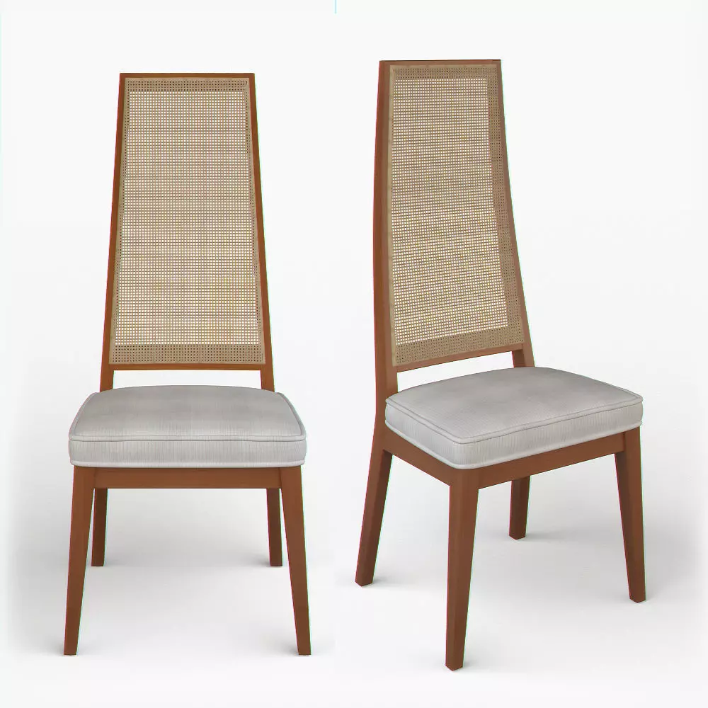 Cane-Backed Dining Chairs in the Style of Milo Baughman 3D model_0