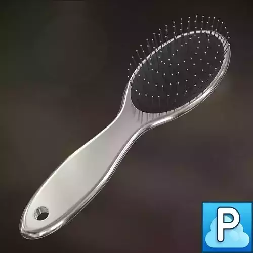 Standard hairbrush