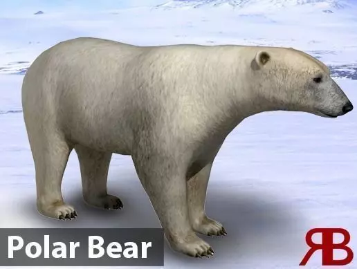 Polar Bear Low-poly 3D model_0