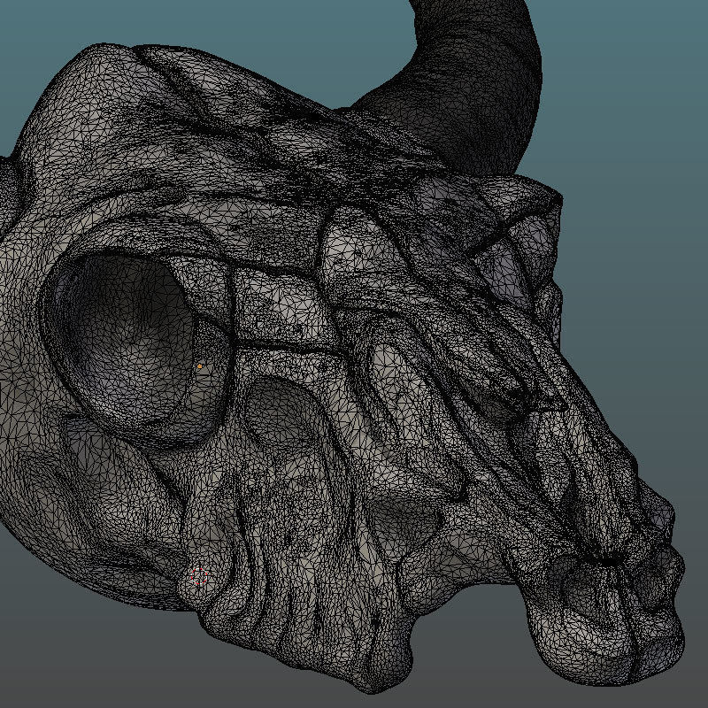 Cow Skull 3D model_7