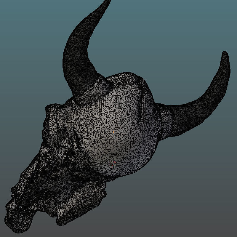 Cow Skull 3D model_8