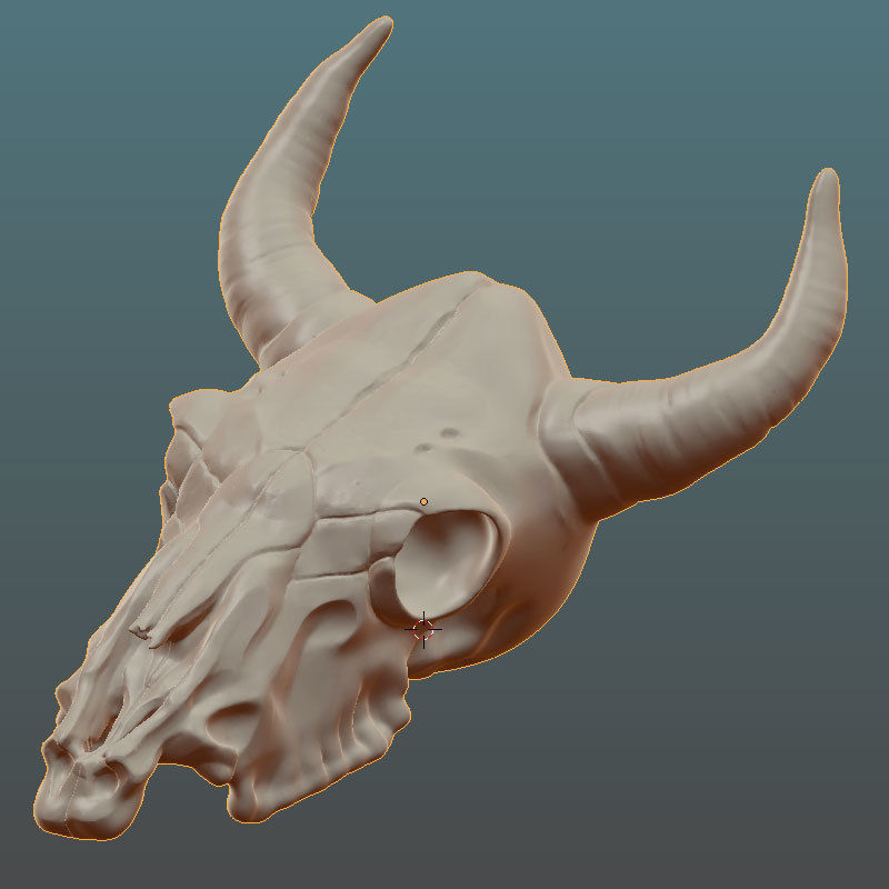 Cow Skull 3D model_6