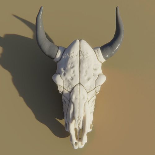 Cow Skull 3D model