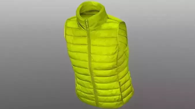 Vest 3D model