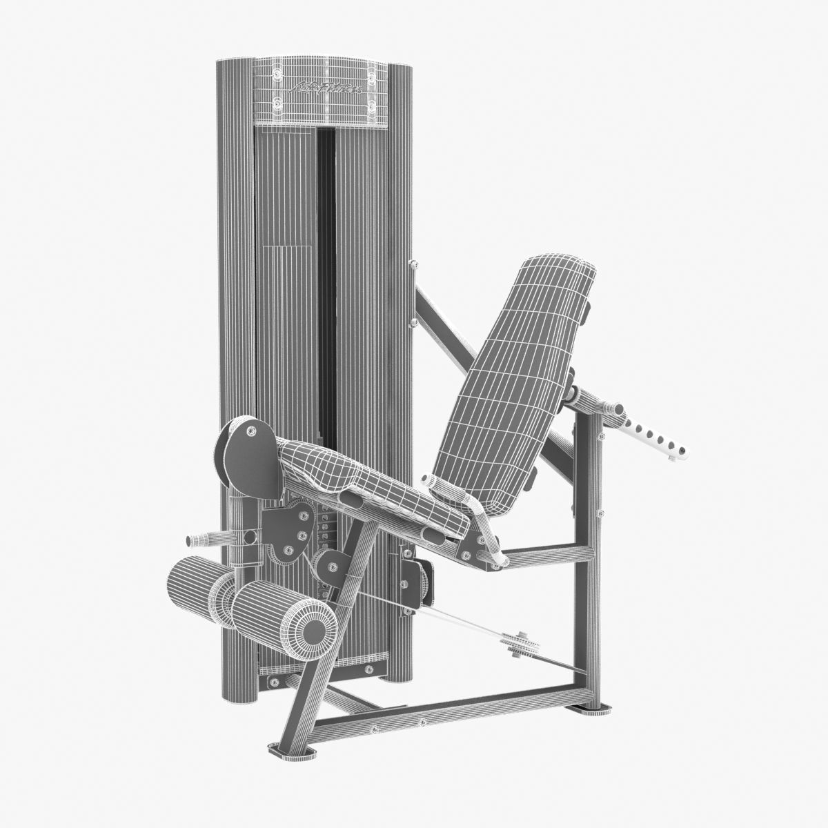 Life Fitness Optima Series Leg Exte 3D model_10