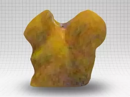 New Qlone Free 3D model