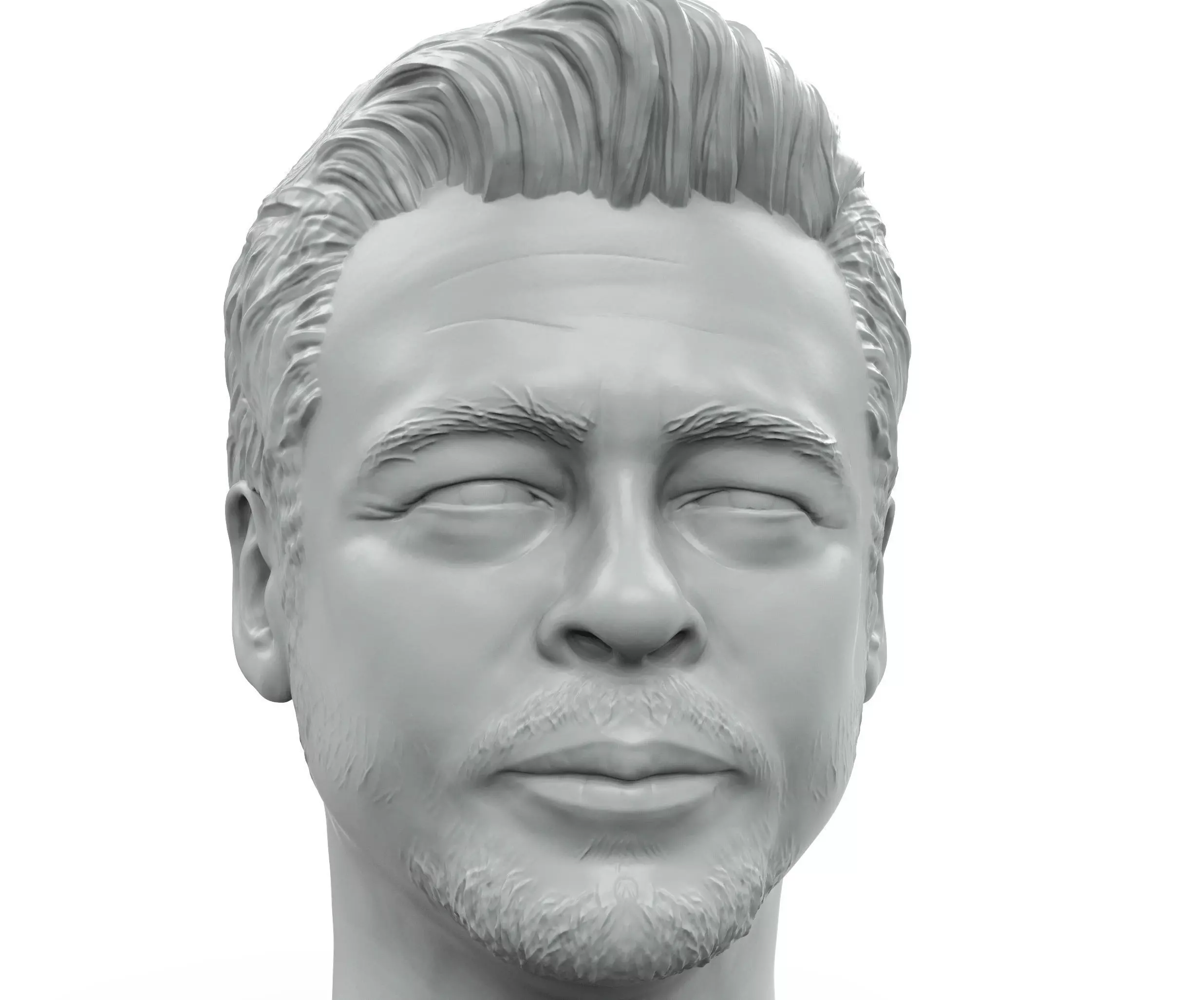 Benicio Del Toro 3D printable portrait sculpture  3D print model_0