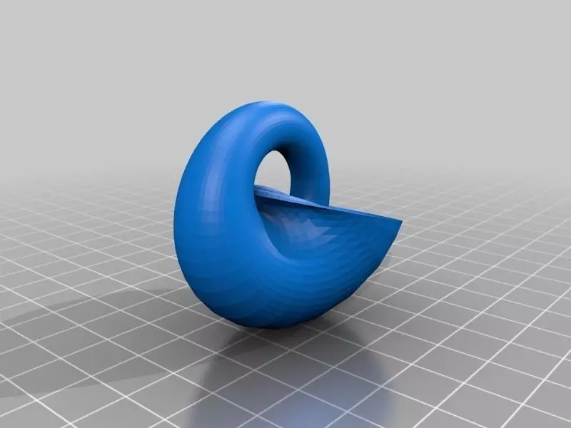 Eternal Shell Free 3D print model_0