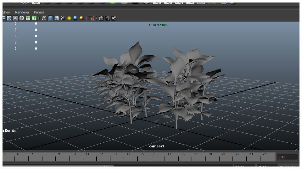 Plant eucalyptus 3D model_6