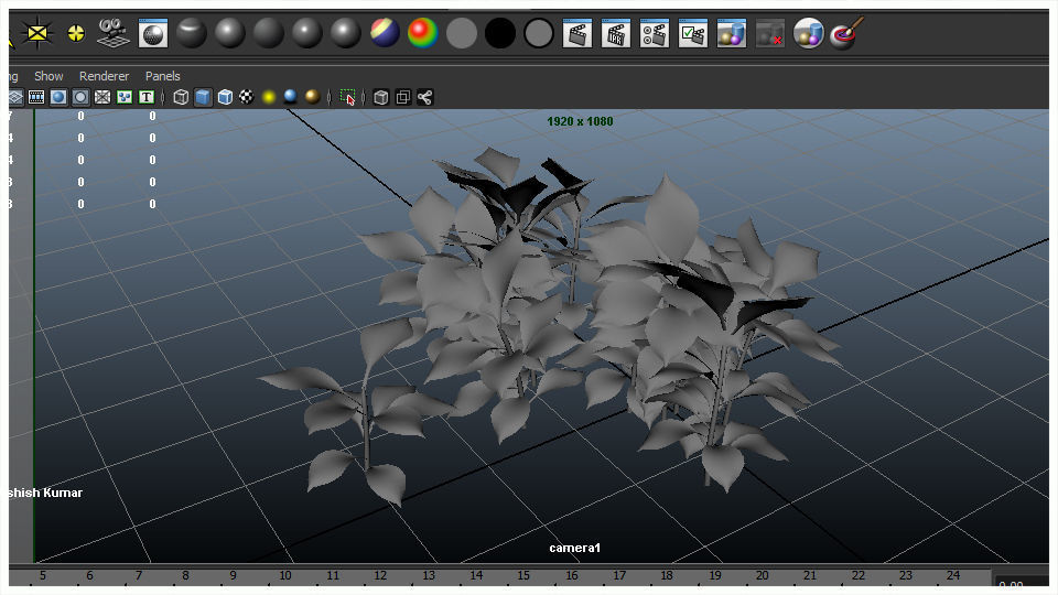 Plant eucalyptus 3D model_7