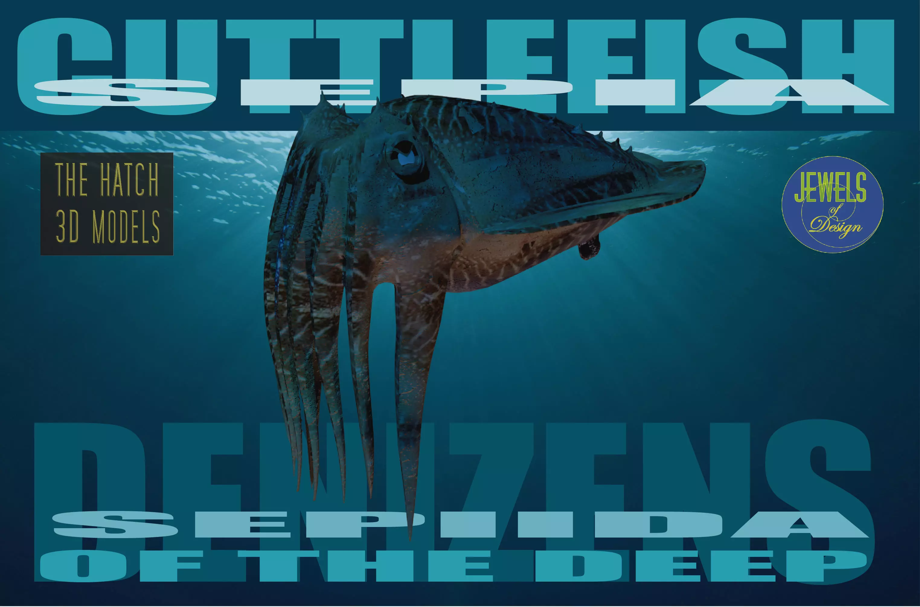 Cuttlefish jellyfish Low-poly 3D model