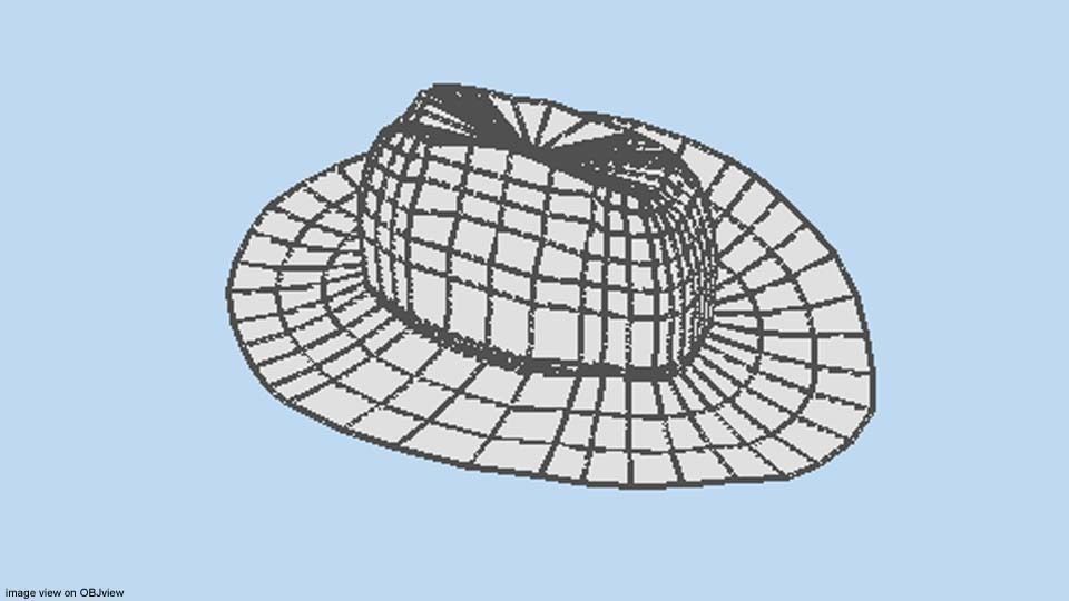 Hat - Cowboy 3D model_4